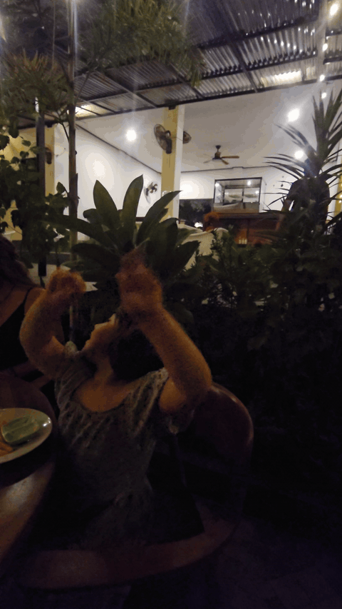 Music and a welcoming atmosphere during an evening at The Tribe