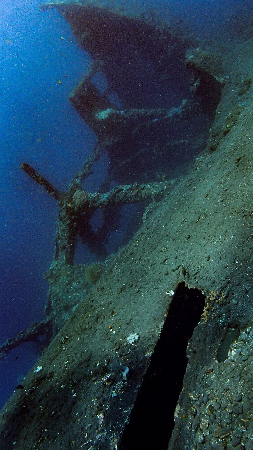 Tall section of the USAT Liberty wreck underwater
