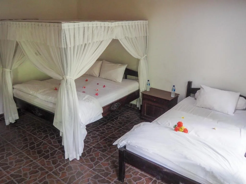 Family Room — Scuba Tribe Bali room