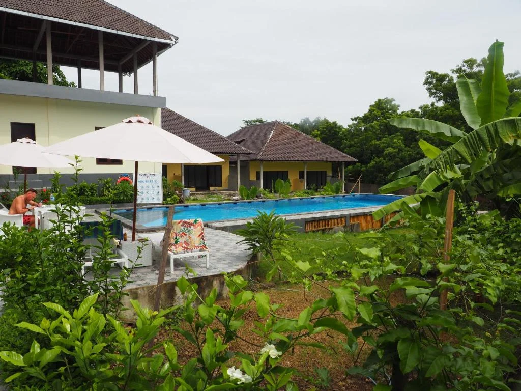 Pool in Scuba Tribe’s tropical garden