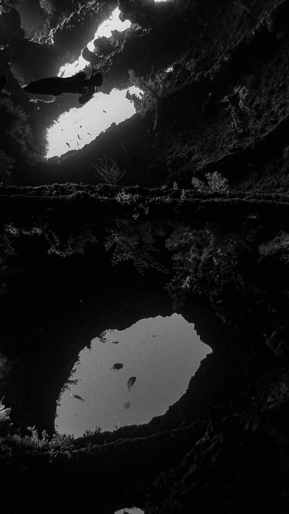 Opening within the structure of the USAT Liberty wreck