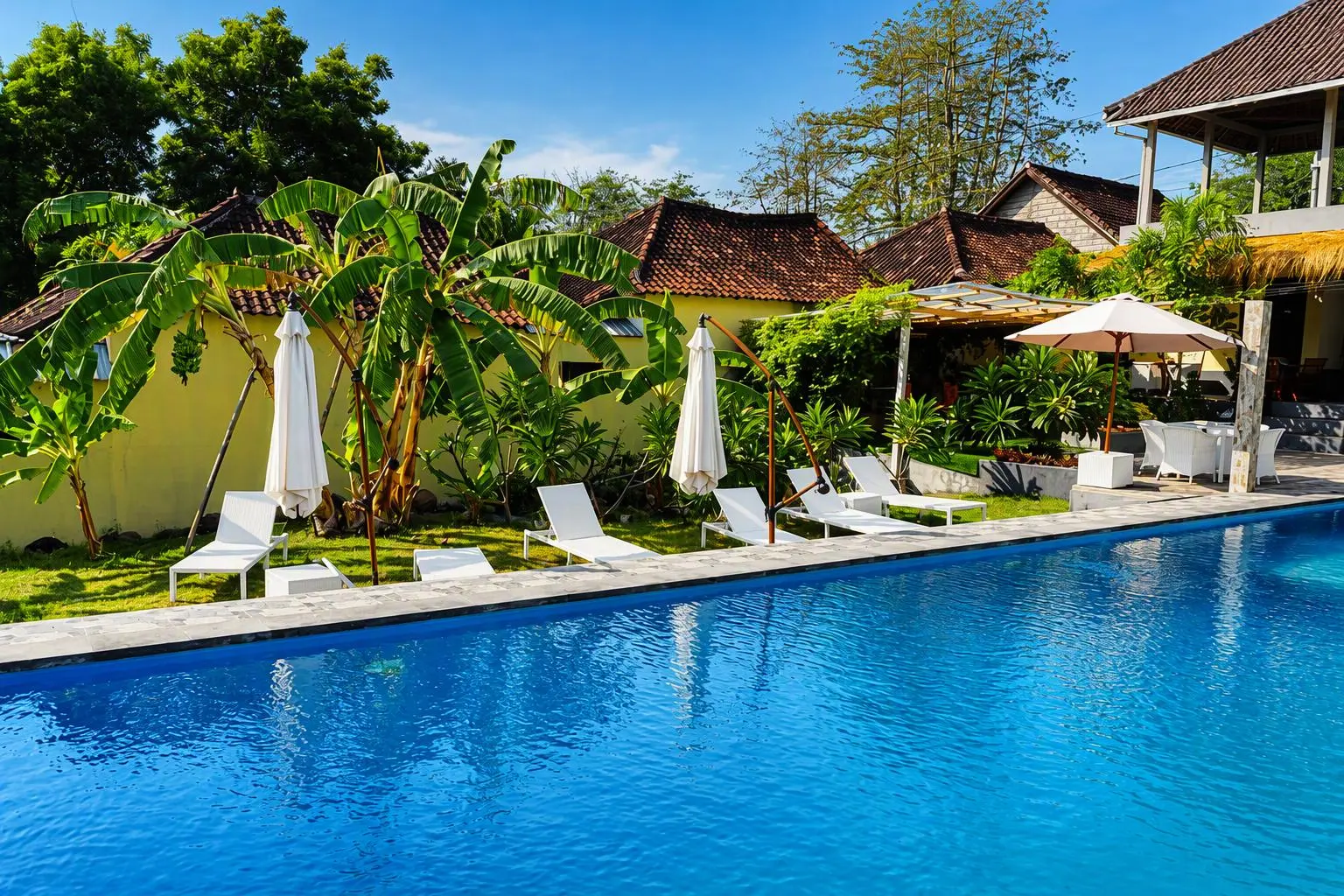 Pool lined with sun loungers and tropical plants