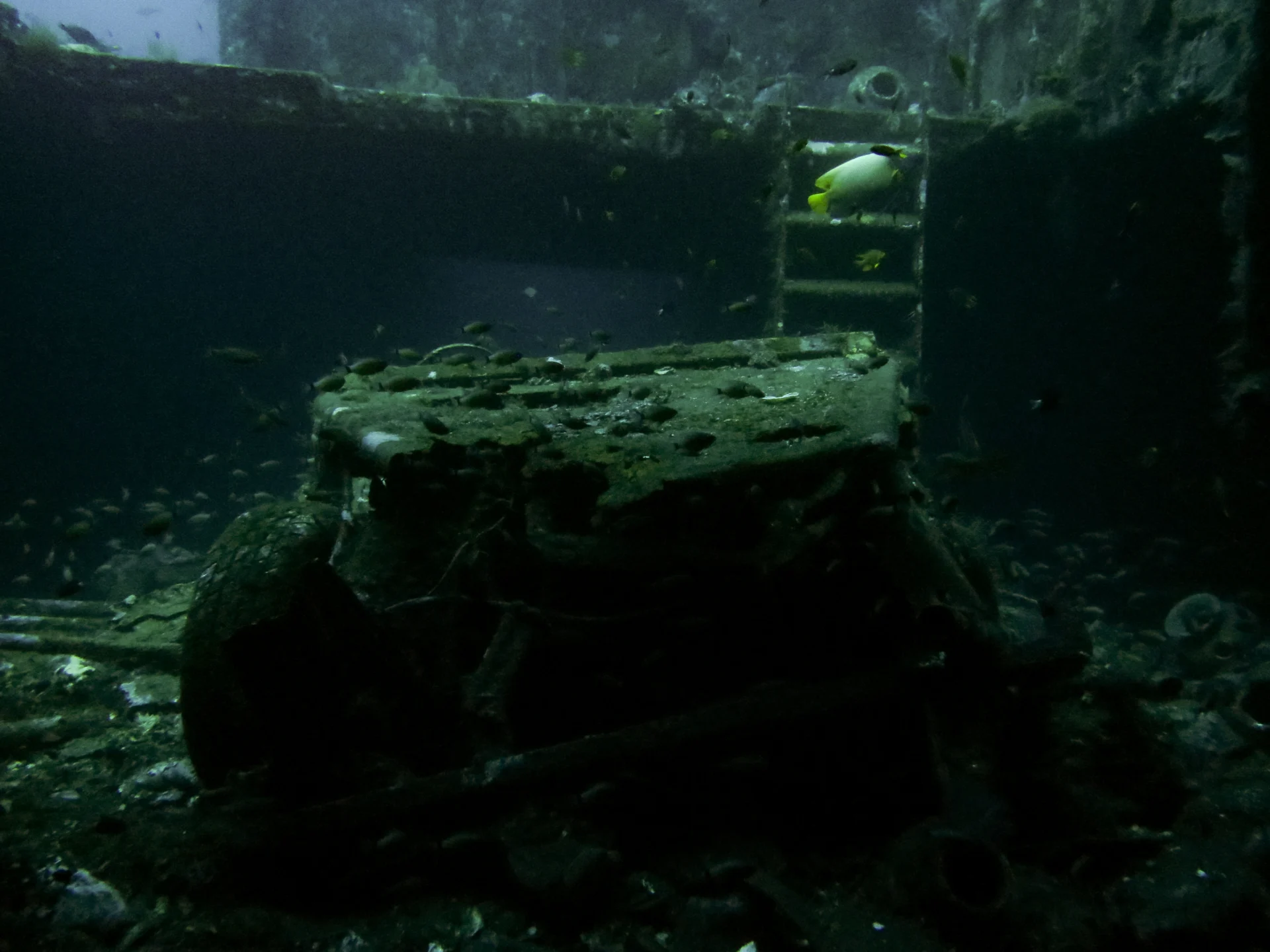 Jeep in the cargo area in Kubu, Bali