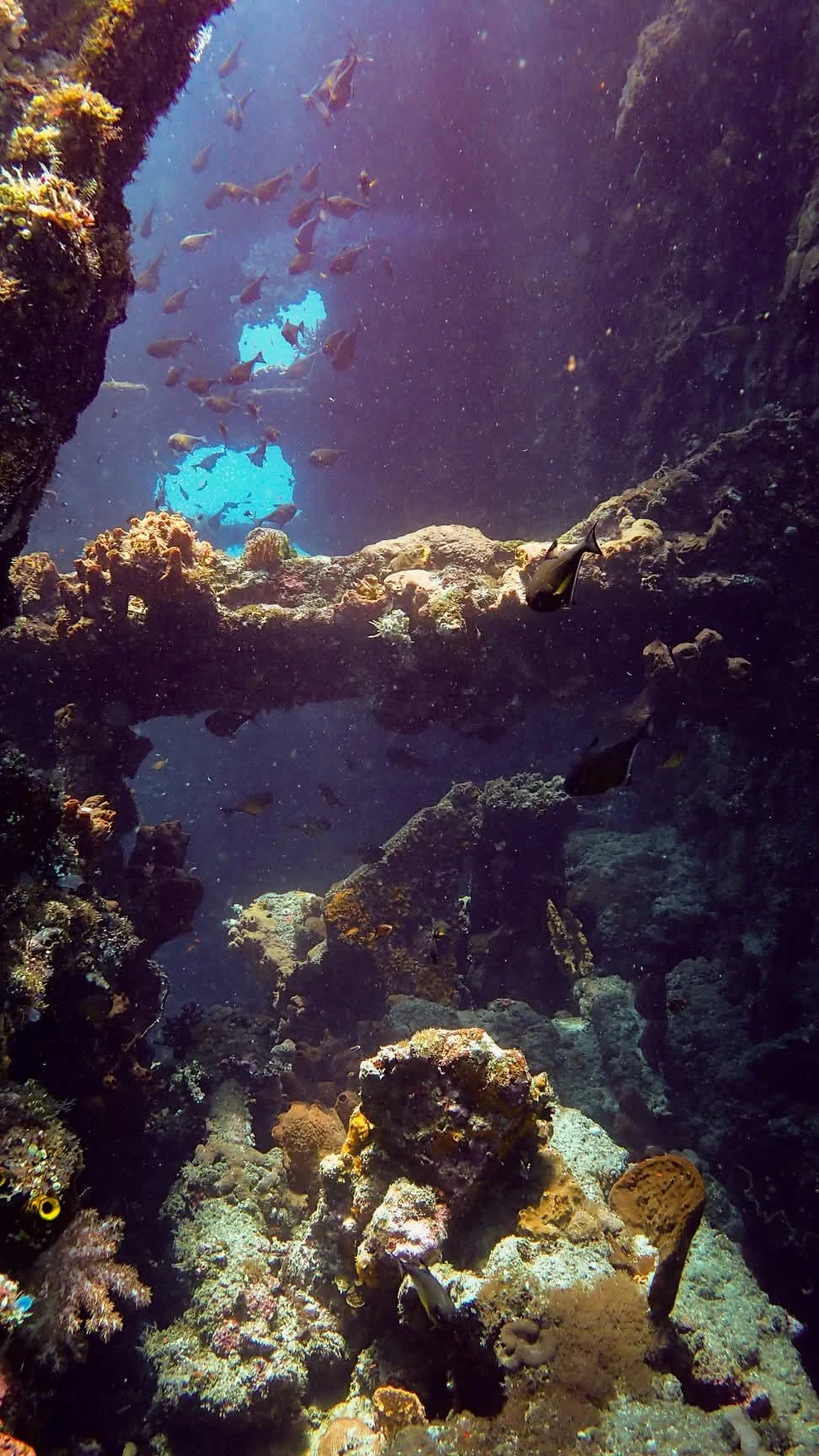 Scuba diving experience around Tulamben 13