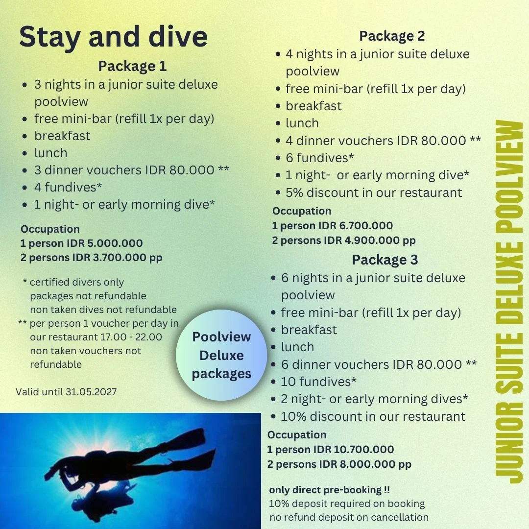 Stay & Dive — Scuba Tribe Bali accommodation and resort 4