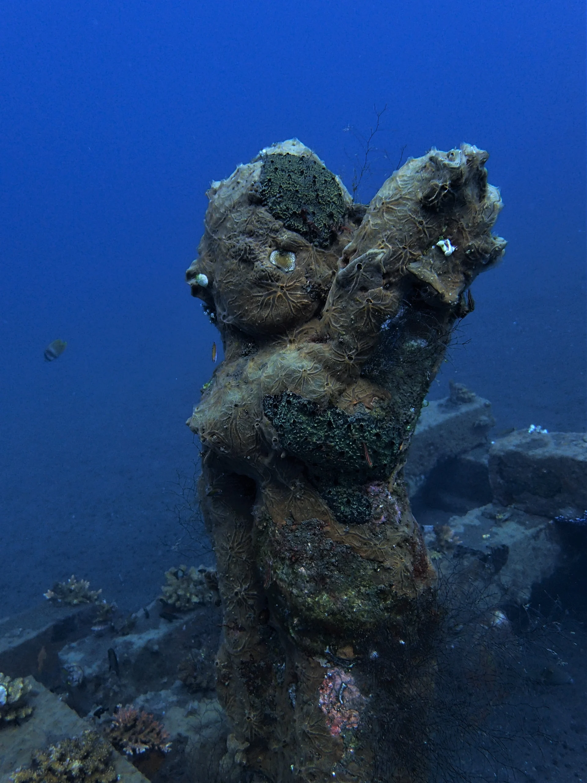 Seabed at Coral Garden in Tulamben, Bali