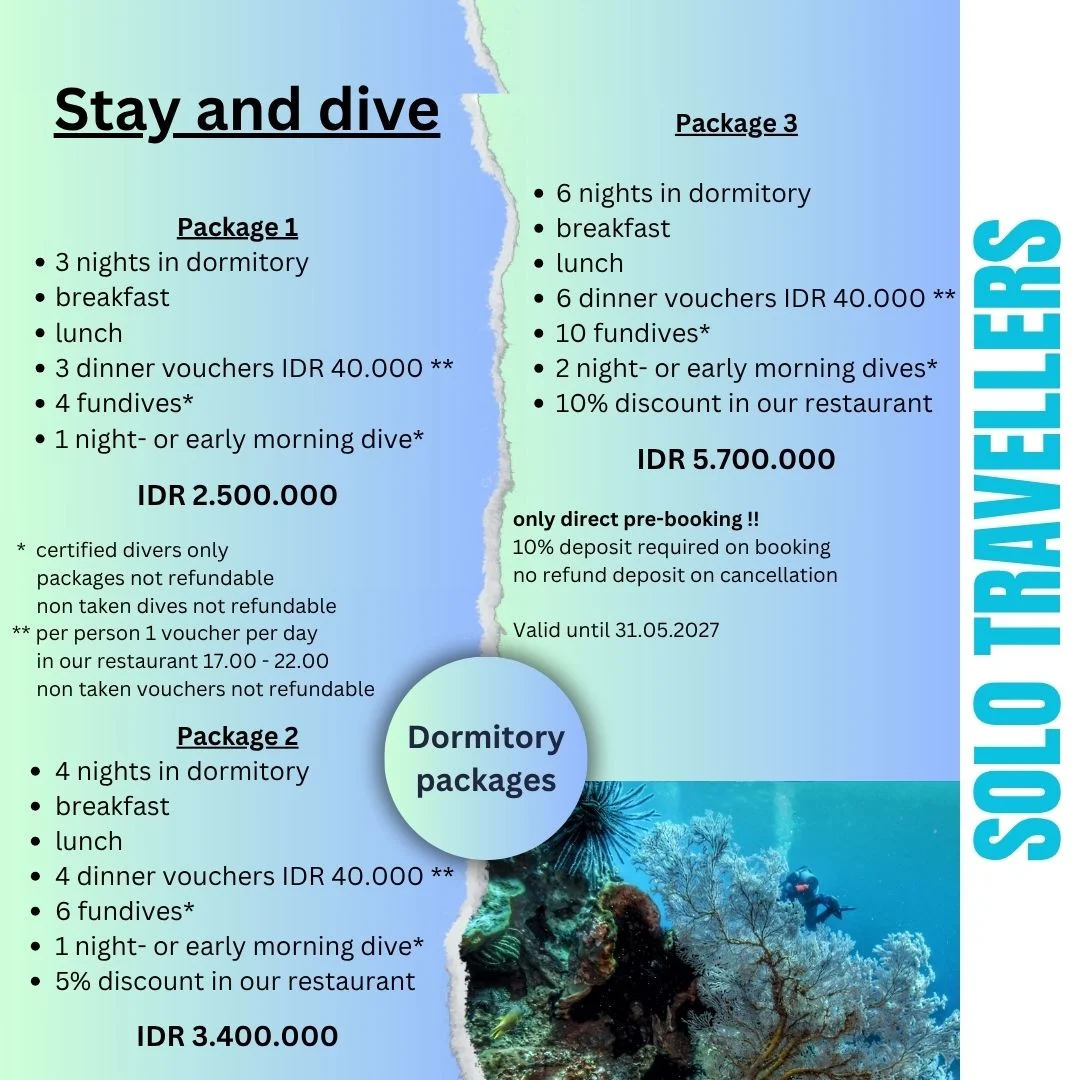 Stay & Dive — Scuba Tribe Bali accommodation and resort 3