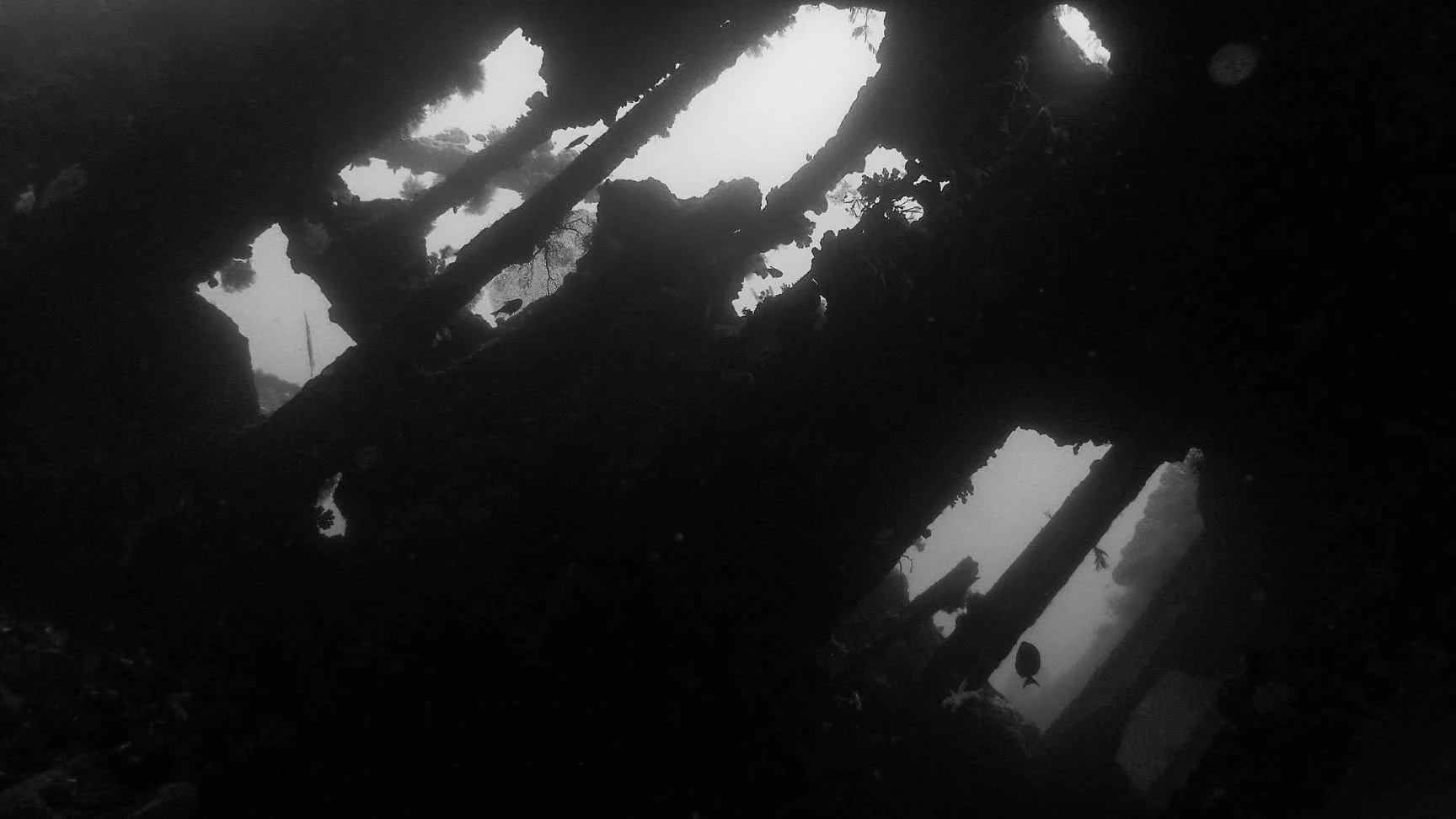 Sunbeams entering the structure of the USAT Liberty wreck