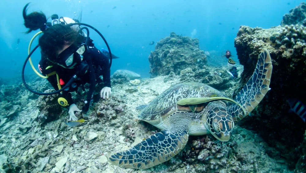 SSI Adventure Dive