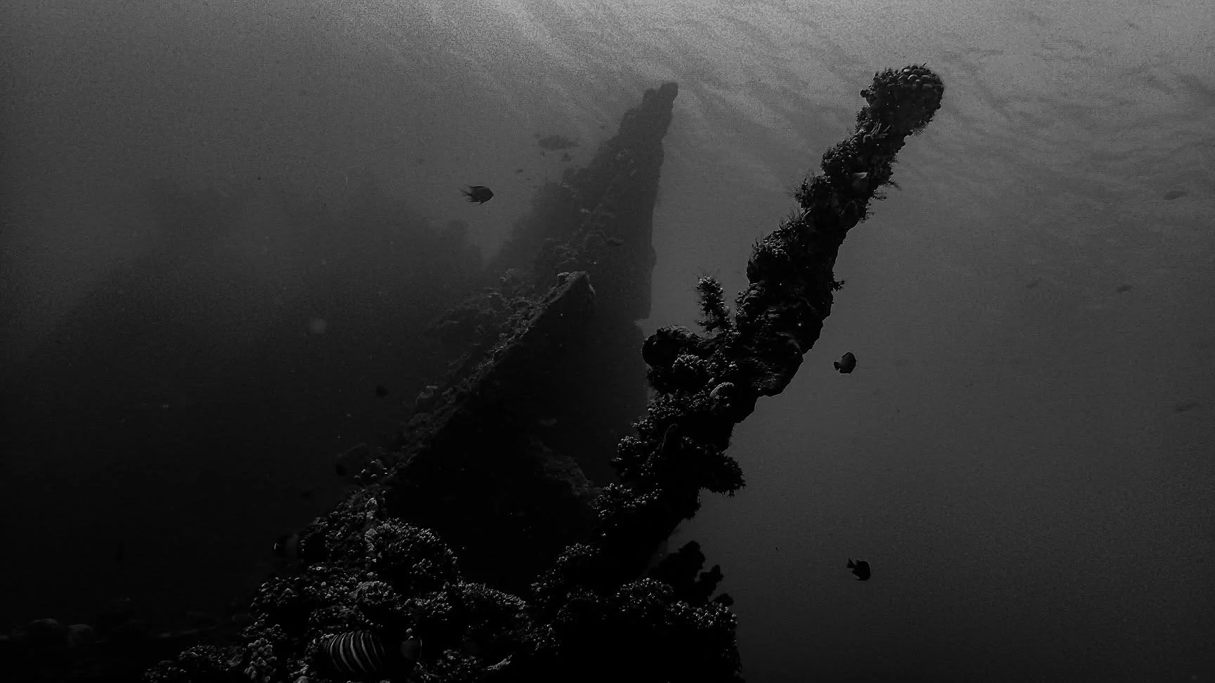 Submerged structure of the USAT Liberty wreck in Tulamben