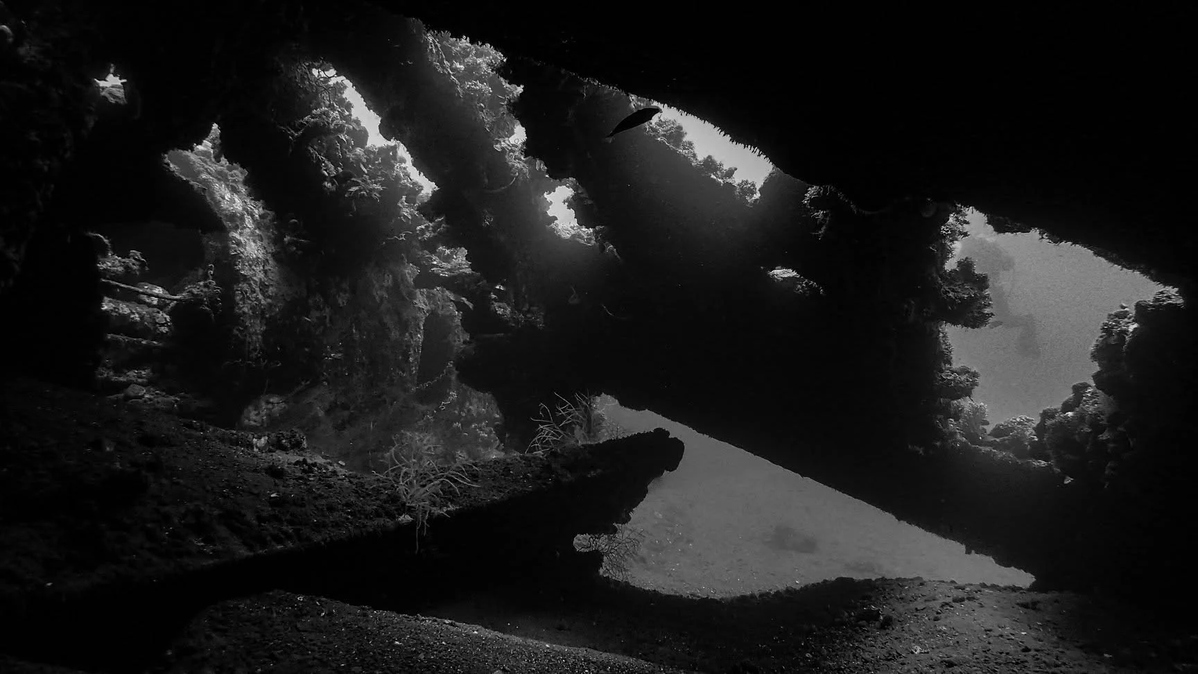 Contrasting light across the USAT Liberty wreck