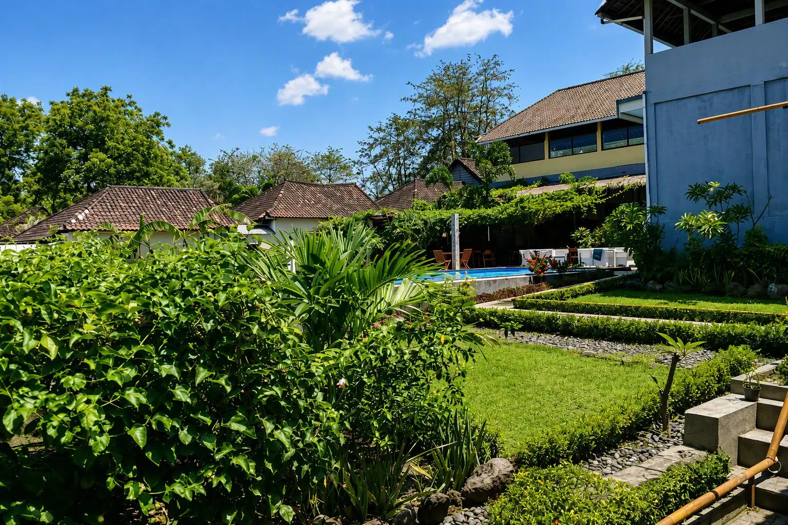 Garden and pool viewed from the Junior Suites