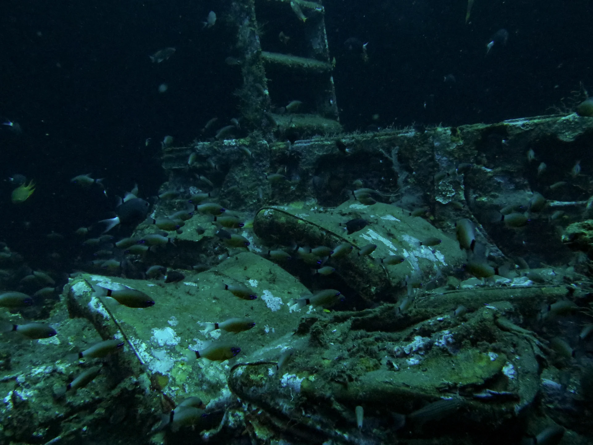 Boga Wreck structures in Kubu, Bali