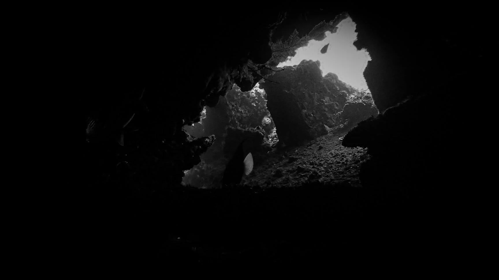 Diver visible through an opening in the USAT Liberty wreck