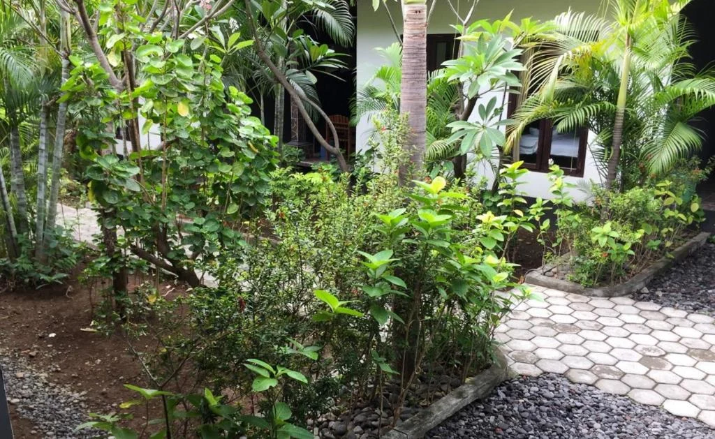 Family Room exterior surrounded by tropical plants