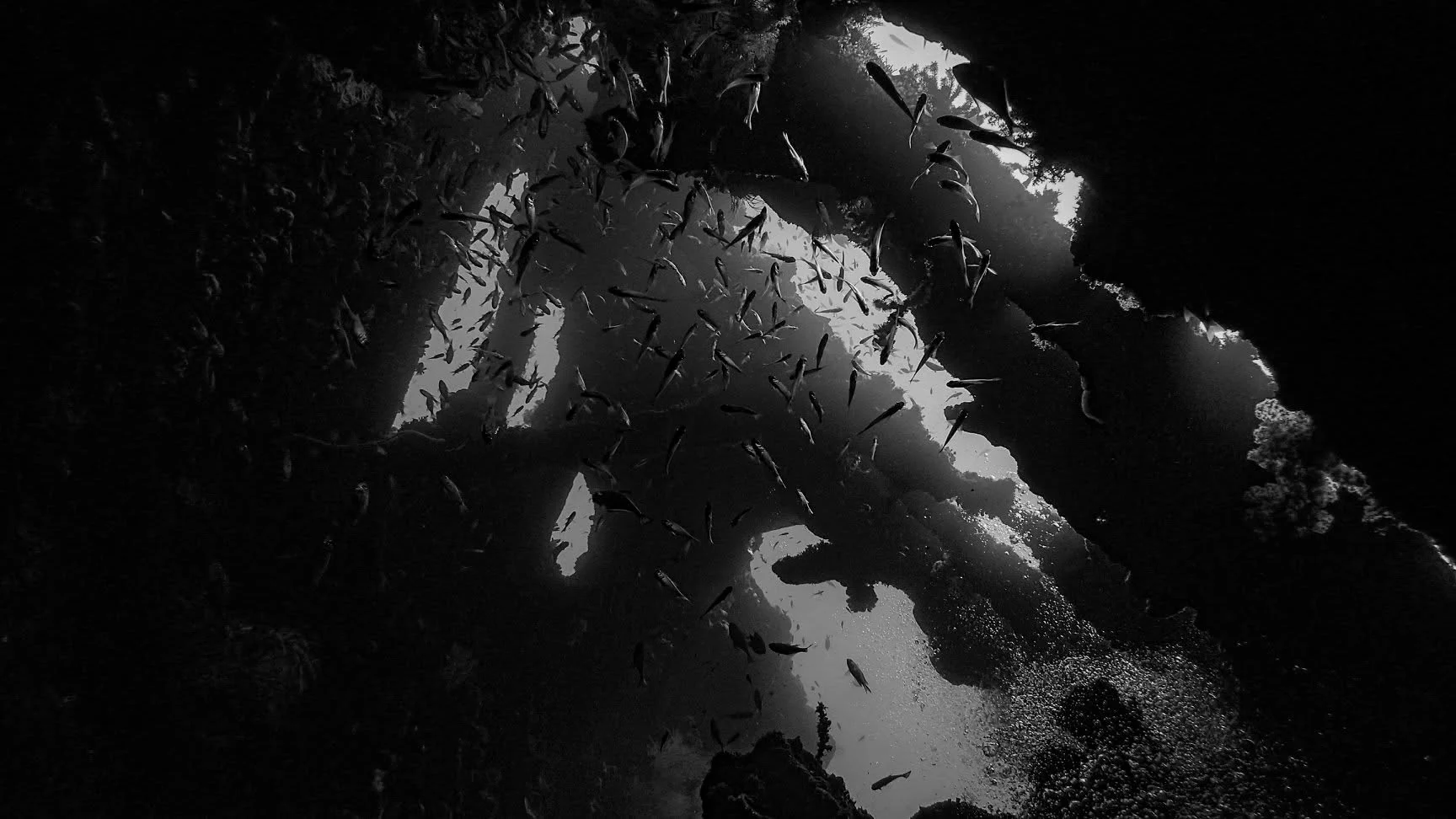 Diver below the structures of the USAT Liberty wreck