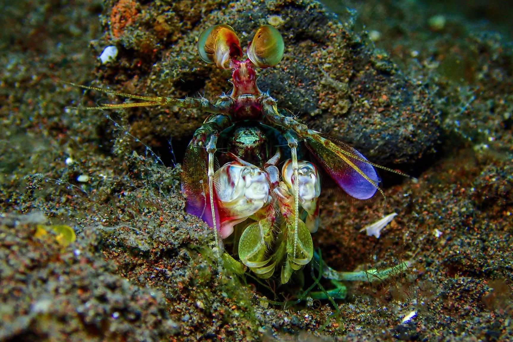 Scuba diving experience around Tulamben — Melasti