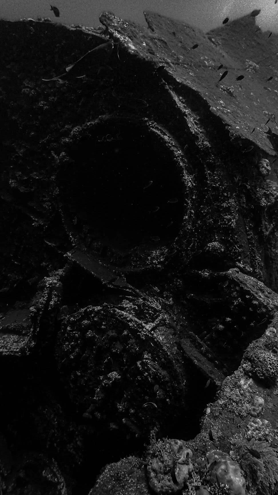 Vertical structure of the USAT Liberty wreck in Tulamben