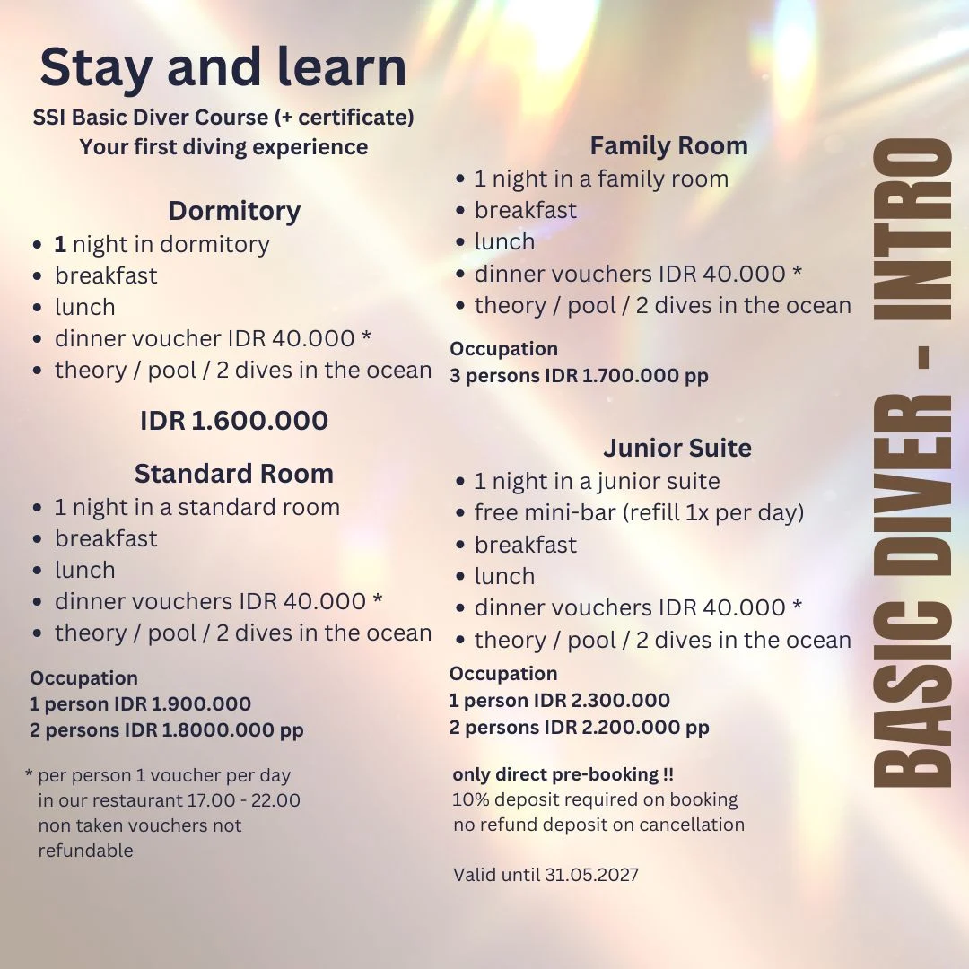 Stay & Learn — Scuba Tribe Bali accommodation and resort 2