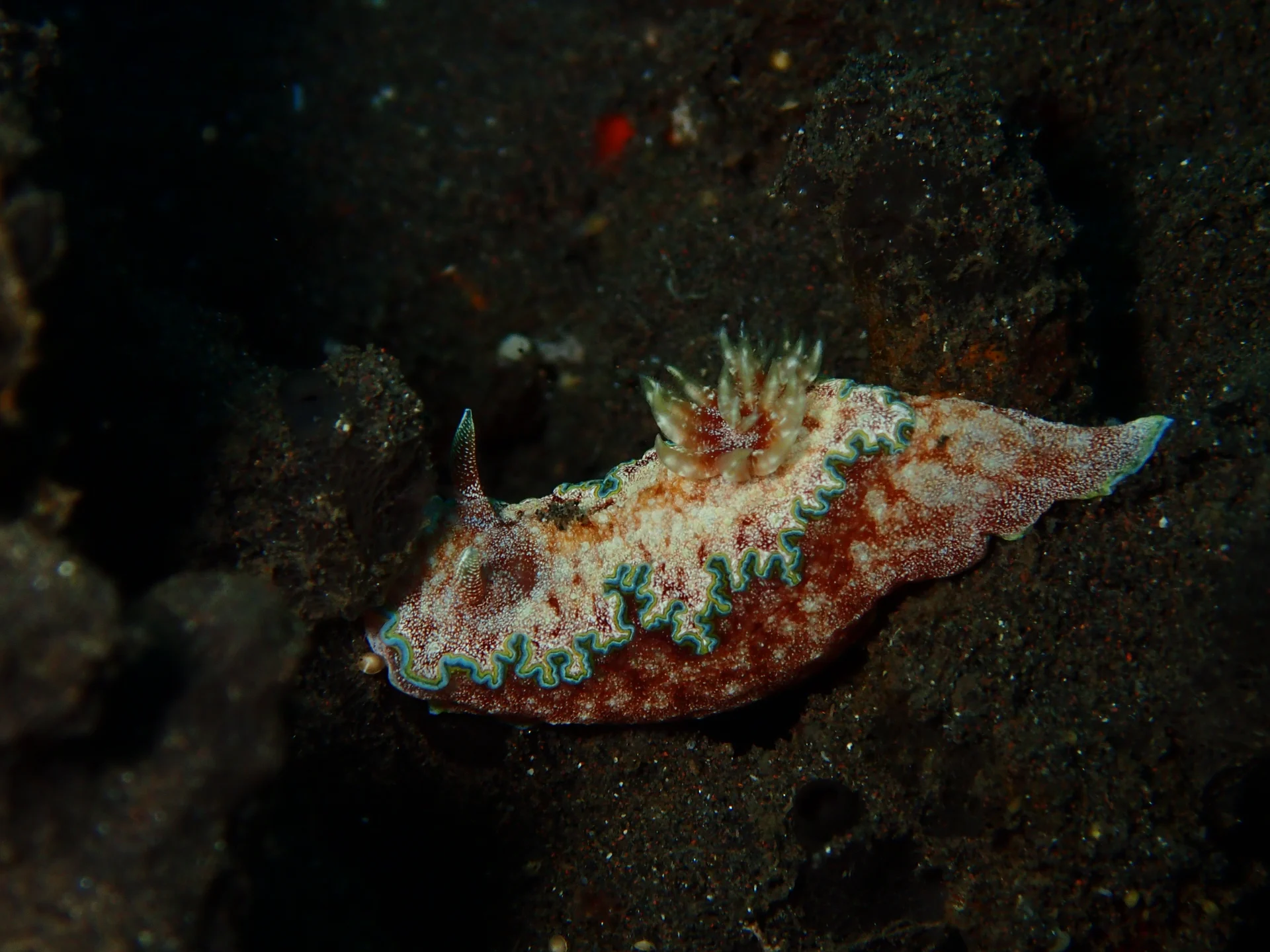 Underwater contours at Coral Garden in Tulamben, Bali